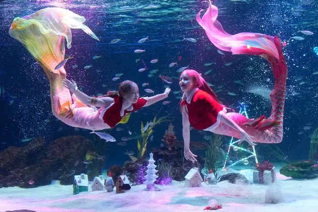 Divers perform during an event to celebrate the upcoming Christmas at the aquarium in Seoul, South Korea, Friday, December 1, 2023. Christmas is one of the biggest holidays celebrated in South Korea. (Photo by Lee Jin-man/AP Photo)