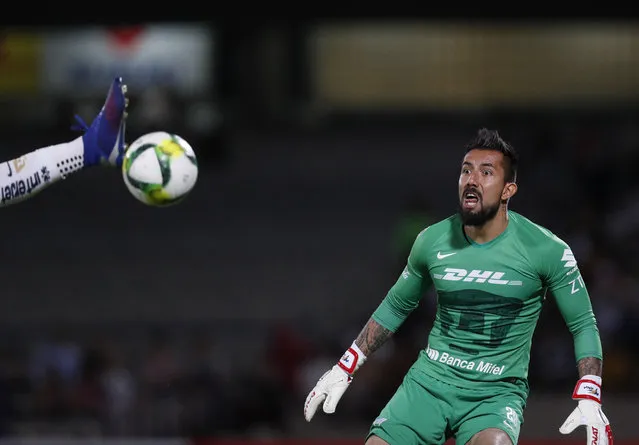 Pumas goalkeeper Miguel Fraga watches as a scoring attempt by Dorados is intercepted by teammate Alan Mendoza, in their Copa MX quarterfinal match at the Olympic University Stadium in Mexico City, Tuesday, March 12, 2019. Pumas won 3-0 drawing them one step closer to the trophy. (Photo by Rebecca Blackwell/AP Photo)