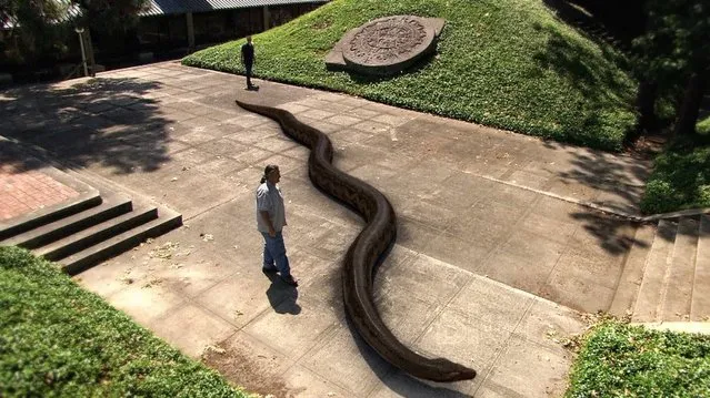 Titanoboa: Monster Snake