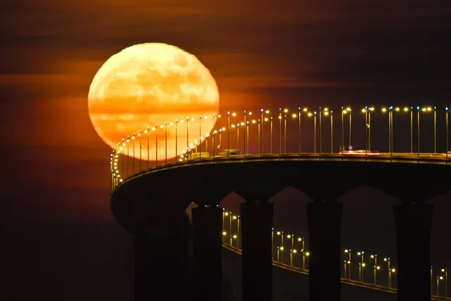 A full moon rising over the Re Island Bridge in Rivedoux, France is pictured on December 14, 2016. (Photo by Xavier Leoty/AFP Photo)