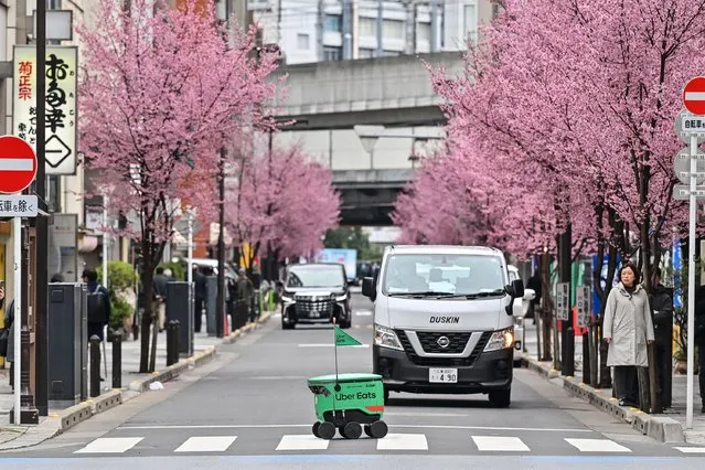 An unmanned robot (C) navigates across a street during a demonstration of a robot delivery service by Uber Eats Japan, Mitsubishi Electric and robot developer Cartken in downtown Tokyo on March 5, 2024. (Photo by Richard A. Brooks/AFP Photo)
