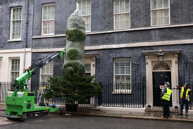 Workers put up a Christmas tree outside the 10 Downing Street, official residence of Britain's Prime Minister Boris Johnson, in London, Britain, November 26, 2021. (Photo by Tom Nicholson/Reuters)