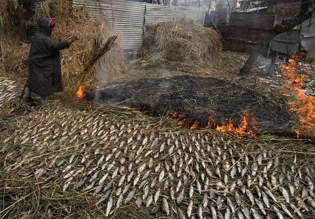A boy make prepare smoked fish over slow-burning grass in Srinagar, the summer capital of Indian Kashmir on December 4, 2021. Smoked fish or “pharri” as they are called in local parlance are prepared by smoking over slow-burning grass and sold by members of the Tippli community living on the banks of the Aaanchar lake in Srinagar. (Photo by Sajad Hameed/Pacific Press/Rex Features/Shutterstock)