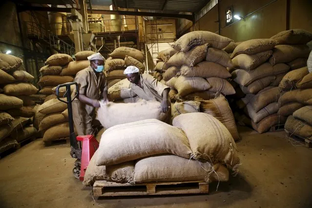 Workers arrange bags containing cocoa beans at a cocoa processing factory in Ile-Oluji village in Ondo state, southwest Nigeria March 30, 2016. (Photo by Akintunde Akinleye/Reuters)