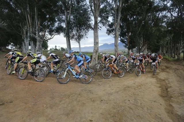 Professional riders in action at the start of stage 4 of the annual ABSA Cape Epic mountain bike stage race, Cape Town, South Africa, 27 March 2014. (Photo by Kim Ludbrook/EPA)