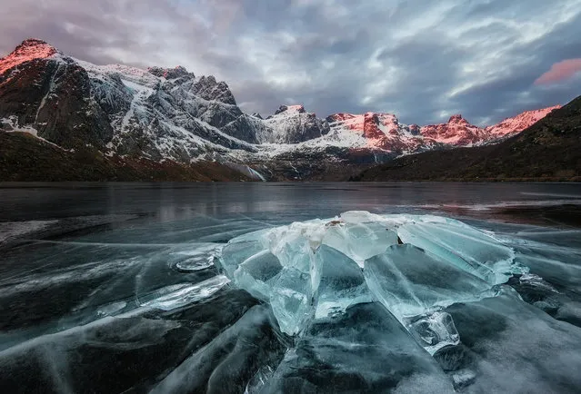 “Lofoten Glow”. I was desperately searching a good sunrise spot this particular morning. Normally Storvatnet Lake is completely covered in snow, so you can only imagine my surprise when I saw these crazy ice formations almost being shot out of the frozen lake. I put my crampons on and took a big risk walking out. Photo location: Storvatnet, Lofoten Islands in Northern Norway. (Photo and caption by Stian Klo/National Geographic Photo Contest)