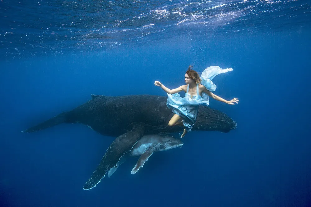 Beauty Swims with Beasts