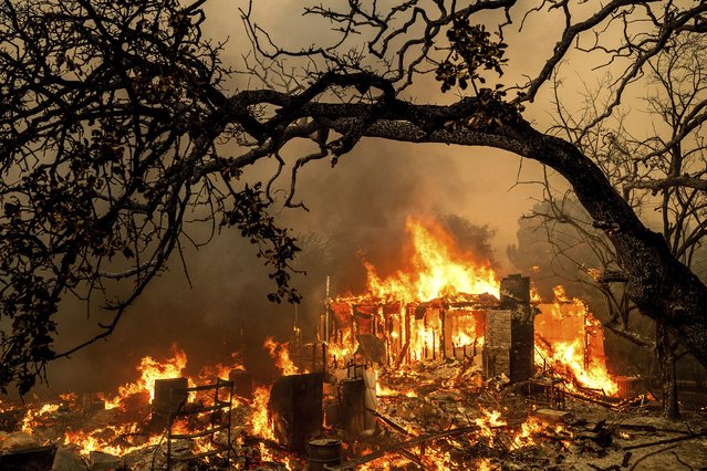 Flames consume a structure on Bessie Lane as the Thompson Fire burns in Oroville, Calif., Tuesday, July 2, 2024. An extended heatwave blanketing Northern California has resulted in red flag fire warnings and power shutoffs. (Photo by Noah Berger/AP Photo)