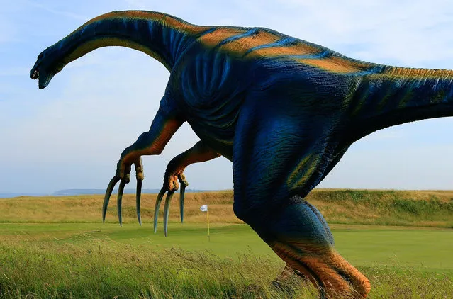 A dinosaur in the rough on the 18th fairway during the first round of the Acorn Jersey Open played at La Moye Golf Club on June 9, 2016 in St Helier, Jersey. (Photo by Phil Inglis/Getty Images)