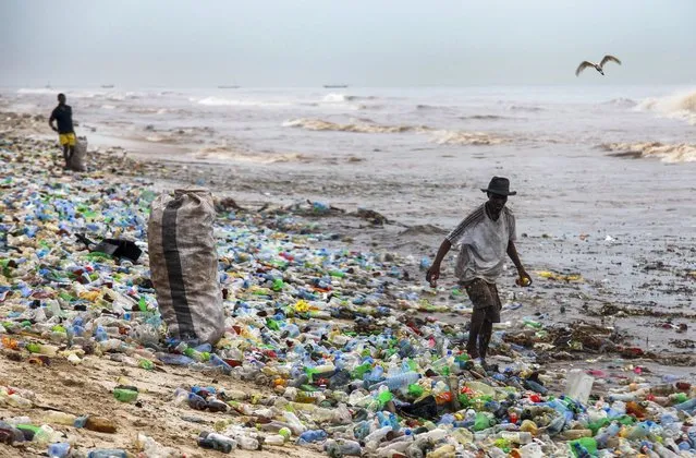 A photograph made availavble 13 June 2016 shows a Ghanaian collecting recyclable material at the polluted Korle Gono beach, that is covered in plastic bottles and other items washed ashore, following weeks of heavy flooding in Accra, Ghana 12 June 2016. The recyclable materials were washed from the capital Accra through the Korle lagoon ending up at the beach. Waste pollution is a continuing problem in Ghana. (Photo by Christian Thompson/EPA)