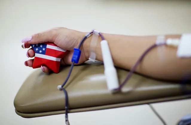 Tatiana Osorio, of Orlando, squeezes an American-flagged themed stress ball while giving blood at the OneBlood blood center near the mass shooting at a nightclub Monday, June 13, 2016, in Orlando, Fla. Osorio lost three friends in the shooting. (Photo by David Goldman/AP Photo)