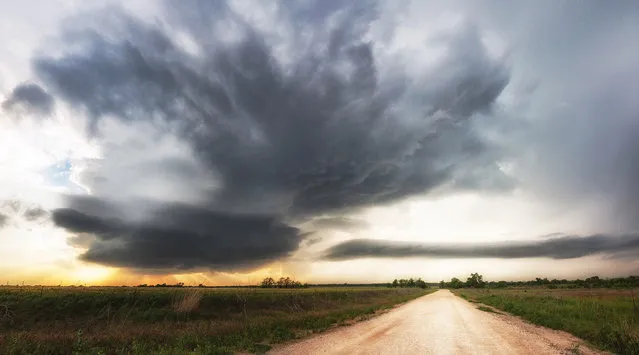 These stunning images capture some of America's most intense storms from an extraordinarily close perspective. They showcase the power of Mother Nature with terrifying tornadoes, supercells and lightning. Storm-chaser Maximilian Conrad of Germany captured the images while on a “chase-cation” with friends in the U.S. Together with pals Dennis, Lars and Heiko, Max chased ferocious storms across Texas, Oklahoma and Kansas in search of the perfect shot. Here: A panoramic view of the almost stationary supercell. Woodward, Oklahoma on May 24, 2016. (Photo by Maximilian Conrad/Caters News)
