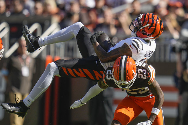 Cincinnati Bengals wide receiver Tee Higgins (5) pulls in a pass reception over Cleveland Browns cornerback Martin Emerson Jr. (23) in the first half of an NFL football game, Sunday, October 20, 2024, in Cleveland. (Photo by Sue Ogrocki/AP Photo)