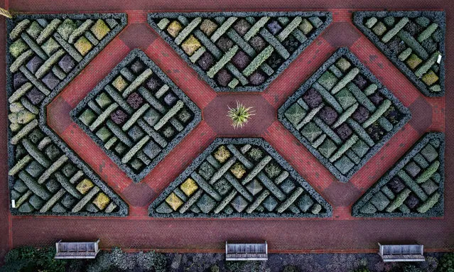 A frosty start at RHS Wisley in Surrey, England on January 19, 2020. Temperatures on Sunday night are expected to be even colder as a huge high pressure system takes hold over the country. (Photo by Chris Gorman/RHS)