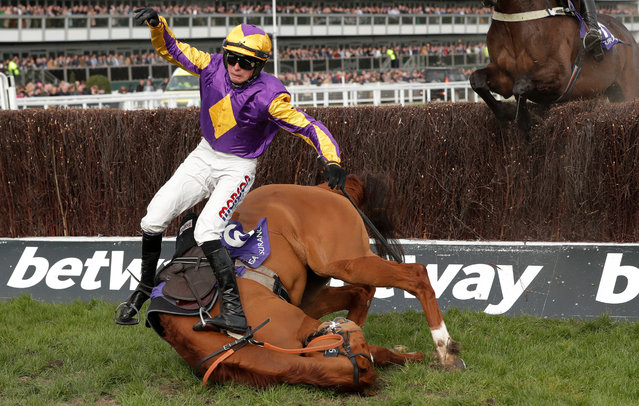 Copperhead ridden by Harry Cobden falls during the RSA Insurance Novices' Chase (Grade 1) at Cheltenham Racecourse on March 11, 2020 in Cheltenham, England. (Photo by Tom Jenkins/The Guardian)