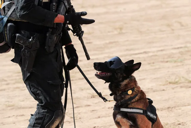 An Iraqi Counter-Terrorism Service (ICTS) member with a dog of Iraqi Counter-Terrorism Service working take part during a tactical exercise (Lions' Leap) for Iraqi Counter-Terrorism Service (ICTS) in Baghdad, Iraq, July 11, 2022. (Photo by Thaier Al-Sudani/Reuters)