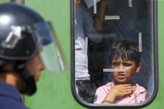 A migrant boy looks at a Hungarian policeman at the railway station in the town of Bicske, Hungary, September 3, 2015. (Photo by Laszlo Balogh/Reuters)