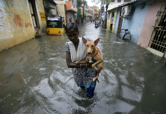 A woman carries a dog as she wades through a water-logged neighbourhood during rains in Chennai, India on November 1, 2017. (Photo by P. Ravikumar/Reuters)