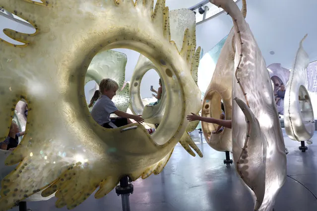 Children reach to touch each other while they ride the SeaGlass Carousel, Tuesday, August 23, 2016, in New York's Battery Park. (Photo by Mary Altaffer/AP Photo)