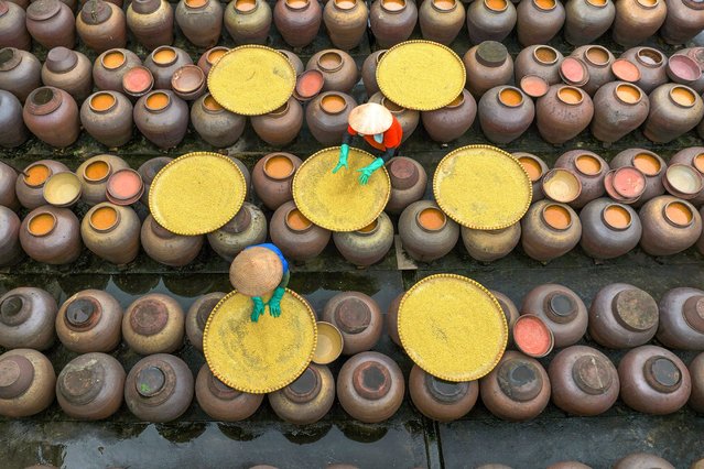 After soybeans are baked in sunlight, they are then fermented in jars as seen here in Ban Yen Nhan, Vietnam in the first decade of February 2025, which helps it to form its unique flavour. The sauce is eventually made from four main ingredients: soybean, glutinous rice, water and white salt. (Photo by Sabina Akter/Solent News)