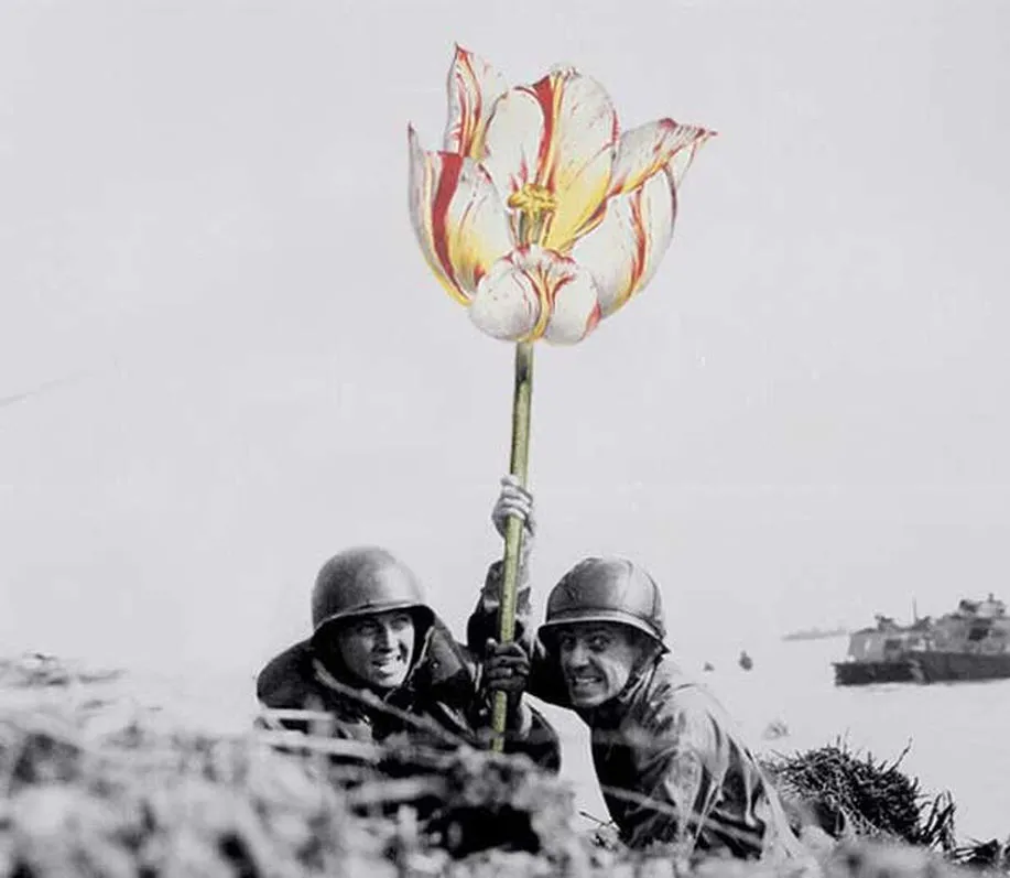 Flowers of War by Mister Blick