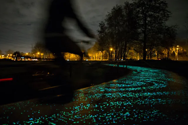 Dutch artist Daan Roosegaarde paid homage to Vincent Van Gogh's famous “Starry Night” painting by creating a glowing bike path relying on solar-powered LED lights. The 650-yard route  which opened November 12, 2014 extends between Eindhoven and Neunen, Netherlands, where Van Gogh spent part of his life. Its the first event marking the 125th anniversary of Van Gogh's death July 29, 2015. (Photo by Pim Hendriksen/Studio Roosegaarde)