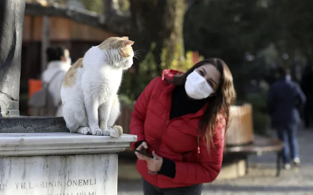 A woman wearing a mask to help protect against the spread of coronavirus, tries to communicate with Efe, a cat living in Kugulu public garden, in Ankara, Turkey, Monday, November 30, 2020.Turkey's President Recep Tayyip Erdogan has announced Monday the most widespread lockdown so far amid a surge in COVID-19 infections, extending curfews to weeknights and full lockdowns over weekends. (Photo by Burhan Ozbilici/AP Photo)