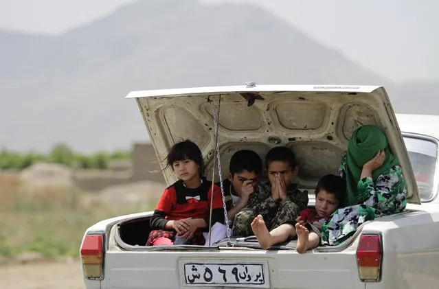 An Afghan family travels in the trunk of a car on the outskirts of Kabul, Afghanistan, Thursday, June, 13, 2013. (Photo by Ahmad Jamshid/AP Photo)
