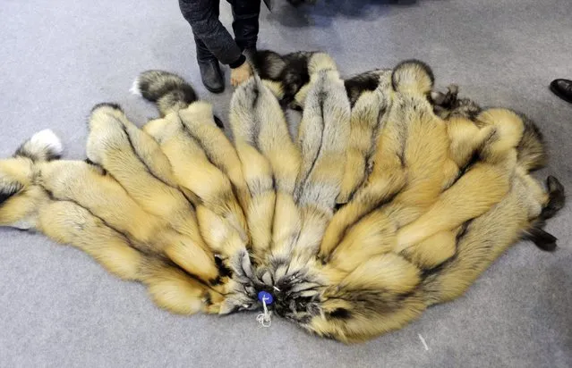 The fur of farmed fox are placed on the ground for display at the 2015 China Fur and Leather Products Fair in Beijing, January 15, 2015. (Photo by Jason Lee/Reuters)