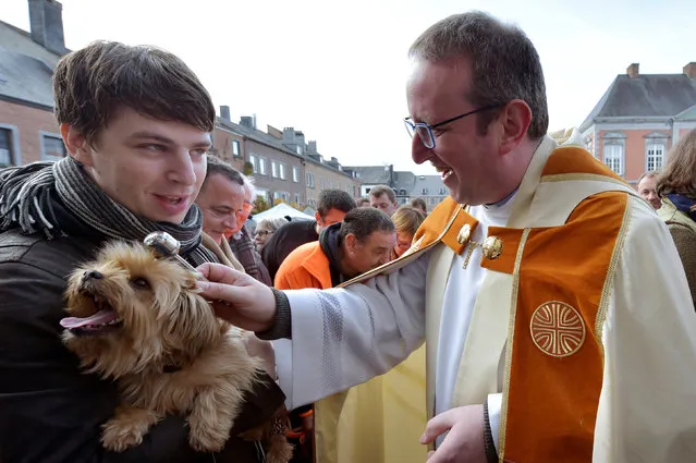 Belgian priest Philippe Goosse blesses a Yorkshire dog during a religious service and blessing ceremony for animals, outside the Basilica of St Peter and Paul in Saint-Hubert, Belgium, November 3, 2016. (Photo by Eric Vidal/Reuters)