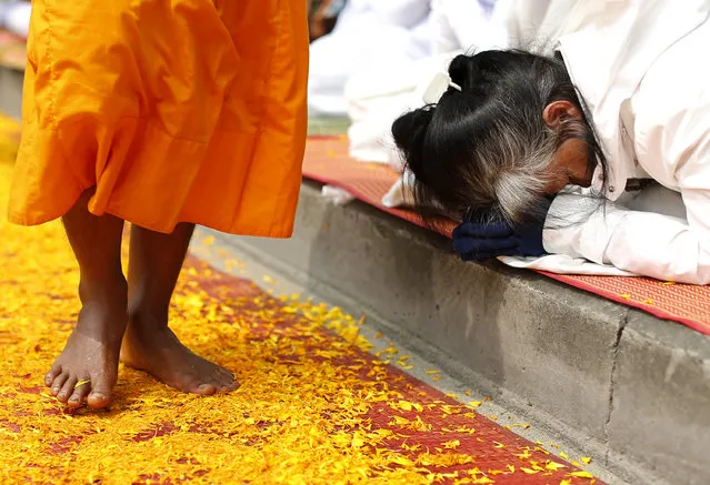A Thai devotee pays respect to a Buddhist monk as walks pass on petals during a pilgrimage rite procession in Bangkok, Thailand, January 29, 2015. All 1,130 Thai Buddhist monks take part in the 422.6 kilometer (262 miles) long pilgrimage through seven provinces to pay their homage to Lord Buddha and make merit for Thai Buddhist devotees. (Photo by Rungroj Yongrit/EPA)