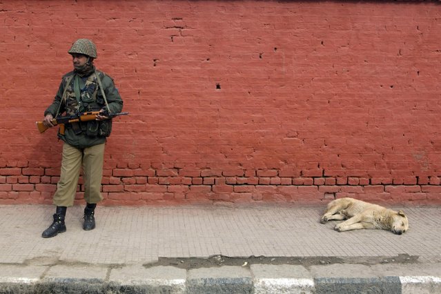 An Indian paramilitary soldier stands guard outside the venue of Republic Day celebration in Srinagar, India, Saturday, January 24, 2015. (Photo by Dar Yasin/AP Photo)