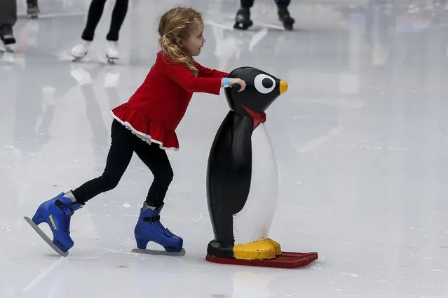 A child uses a penguin skating aid at the skating rink in Bryant Park during unseasonably warm weather on Christmas Eve in the Manhattan borough of New York December 24, 2015. (Photo by Carlo Allegri/Reuters)
