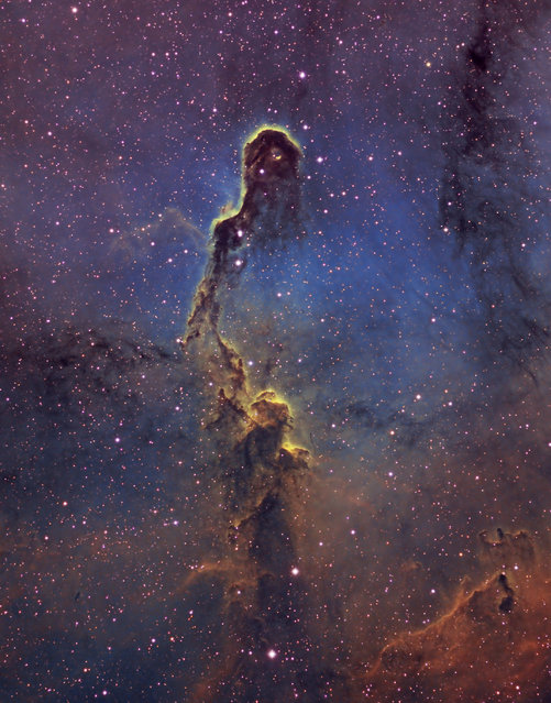 IC1396 The Elephant Trunk Nebula in the constellation Cepheus, it is approximately 2400 light years from earth. This image is part of a larger region of nebulosity and star cluster IC1396. (Bill Snyder)