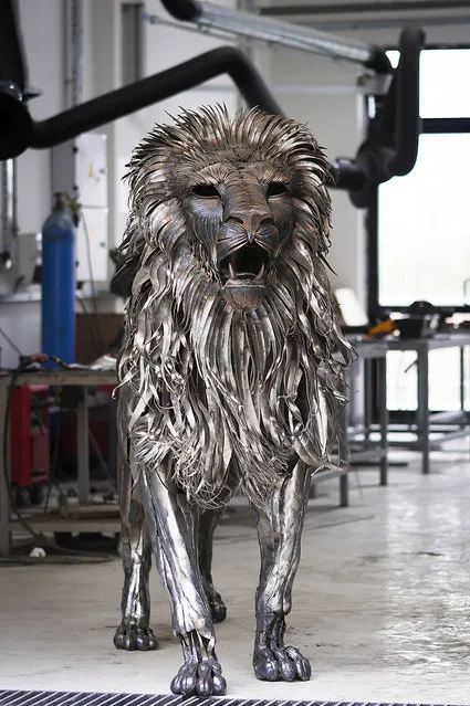 Metal Lion By Selcuk Yılmaz