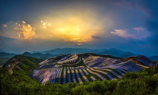 The sun sets over a photovoltaic solar power station in Songxi, China on August 24, 2016. (Photo by Feature China/Barcroft Images)