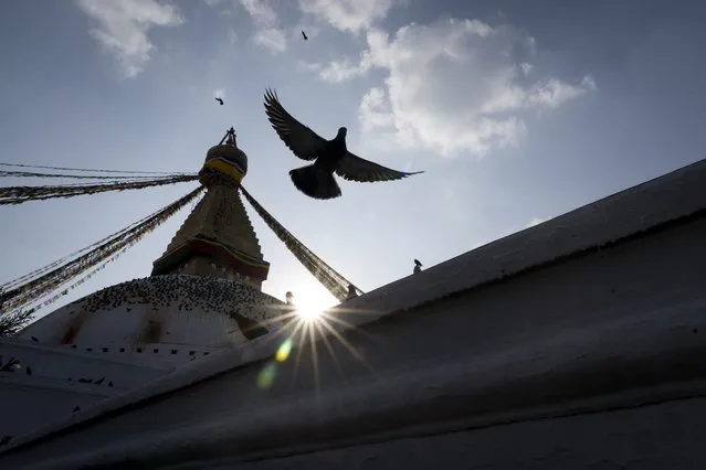 Pigeons fly at the Boudhanath Stupa, a World Heritage site in Kathmandu, Nepal, Thursday, January 18, 2024. (Photo by Niranjan Shrestha/AP Photo)