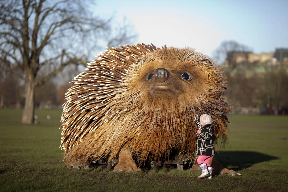 Giant Hedgehog In London