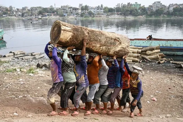 Bangladeshi labourers carry a log of wood after unloading it from a cargo boat near the Buriganga river in Dhaka on February 27, 2024. (Photo by Munir Uz Zaman/AFP Photo)