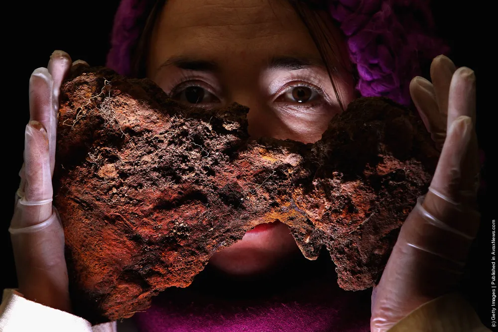 Viking Artifacts Found At A Boat Burial Site Are Unveiled In Edinburgh