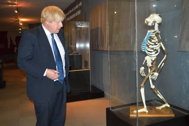 This handout photo taken on March 16, 2017 and released on March 17, 2017 by the British Embassy in Ethiopia shows British Foreign Secretary Boris Johnson watching a plaster replica of the reconstructed skeleton of early australopithecine “Lucy” at the National Museum of Ethiopia in Addis Abeba on March 16, 2017, on Johnson's second leg of a three-day East Africa tour. (Photo by AFP Photo/British Embassy in Ethiopia)