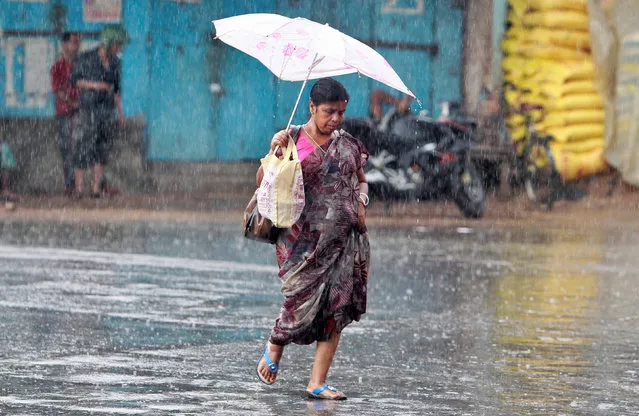 A woman holding an umbrella walks along a road as it rains in Agartala, India, May 13, 2016. (Photo by Jayanta Dey/Reuters)