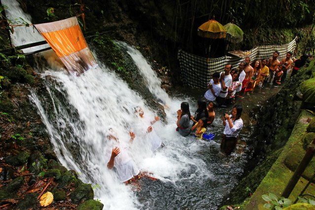 Balinese Hindus take part during a cleansing ritual called Banyu Pinaruh, which is believed to purify their body and soul, at Sebatu holy waterfall in Gianyar, Bali, Indonesia, on July 14, 2024. (Photo by Johannes P. Christo/Reuters)