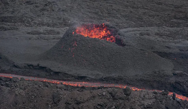 Lava erupts from the Piton de la Fournaise “Peak of the Furnace” volcano, on the southeastern corner of the Indian Ocean island of Reunion Saturday, August 1, 2015. (Photo by Ben Curtis/AP Photo)