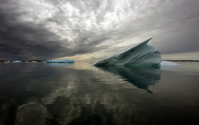 Icebergs float in the calm waters of a fjord, south of Tasiilaq in eastern Greenland. (Photo by Bob Strong/Reuters)