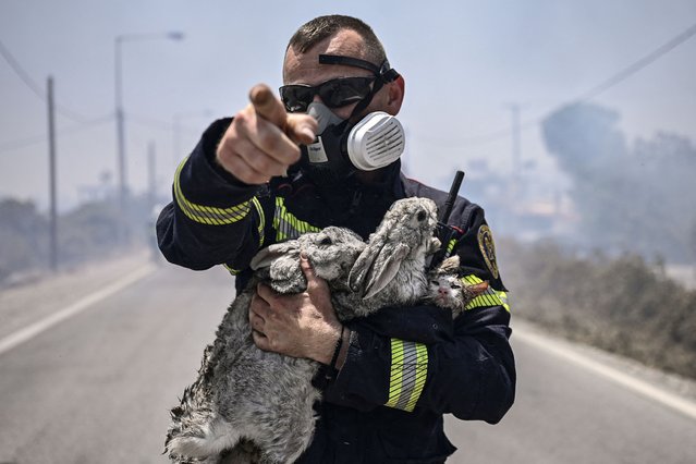 A fireman gestures and holds a cat and two rabbits after rescuing them from a fire between the villages of Kiotari and Gennadi, on the Greek island of Rhodes on July 24, 2023. Firefighters tackled blazes that erupted in peak tourism season, sparking the country's largest-ever wildfire evacuation – and leaving flights and holidays cancelled. Tens of thousands of people have already fled blazes on the island of Rhodes, with many frightened tourists scrambling to get home on evacuation flights. (Photo by Spyros Bakalis/AFP Photo)