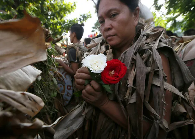 A villager, donning capes mostly of dried banana leaves and covered in mud, holds red and white roses as she joins a procession in a bizarre annual ritual to venerate their patron saint, John the Baptist, Friday, June 24, 2016 at Bibiclat, Aliaga township, Nueva Ecija province in northern Philippines. (Photo by Bullit Marquez/AP Photo)