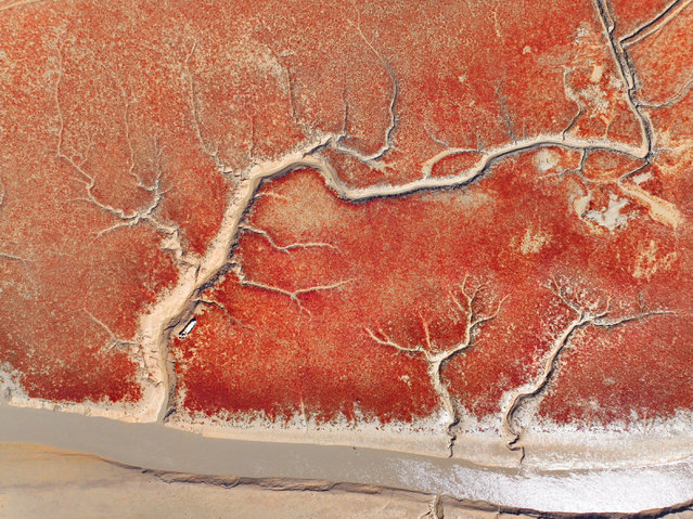 A photo taken on October 20, 2024, shows various patterns left on the beach after the ebb tide at the Yanghe Estuary wetland in Jiaozhou Bay in Qingdao, Shandong province, China. (Photo by Costfoto/NurPhoto/Rex Features/Shutterstock)