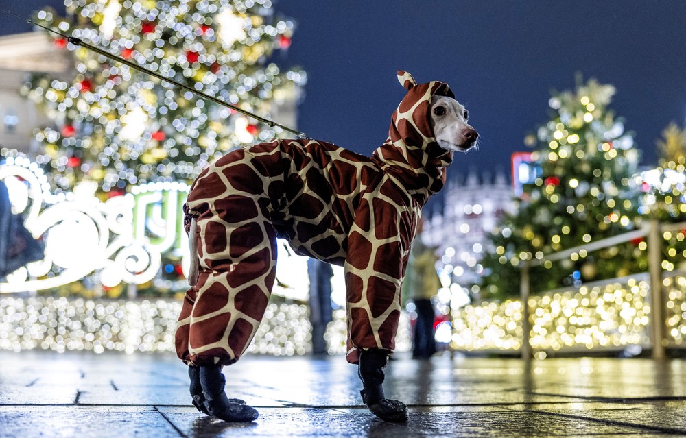 A Look at Life in Russia