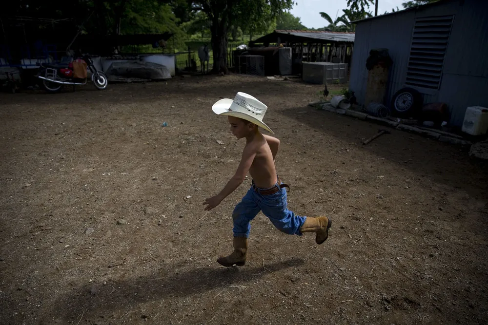 Cuban Child Rodeo